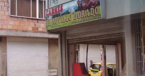 CARNES EL NOVILLO DORADO CARNES EL NOVILLO DORADO